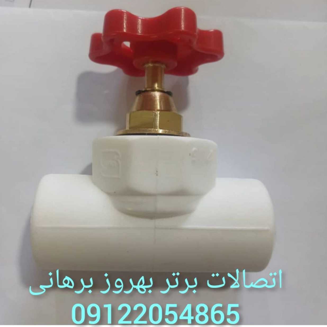 1697362513904.webp